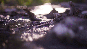 1698133852324070.gif